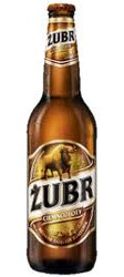 Zubr Ciemnozloty