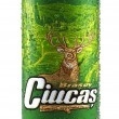 Brasov Ciucas